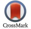 Old Crossmark Logo